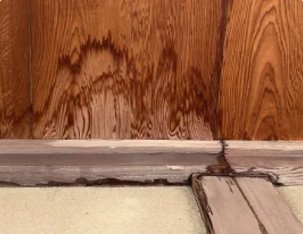 雨漏りの被害
